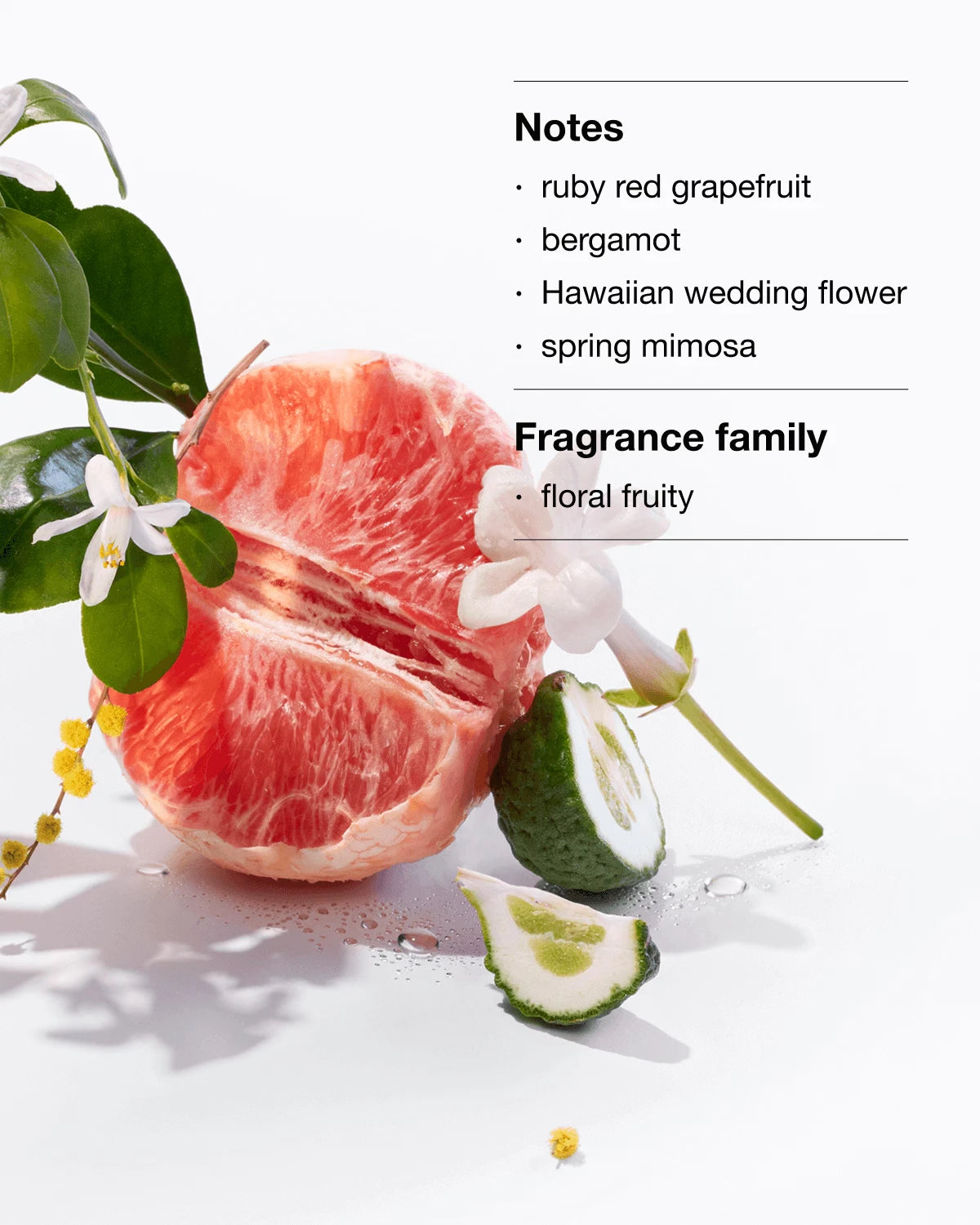 Our Most-Loved Fragrance + Moisturizer Bundle - US 7855